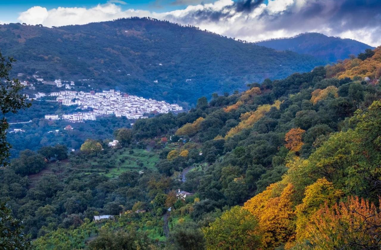 La Marikilla Διαμέρισμα Jubrique Εξωτερικό φωτογραφία