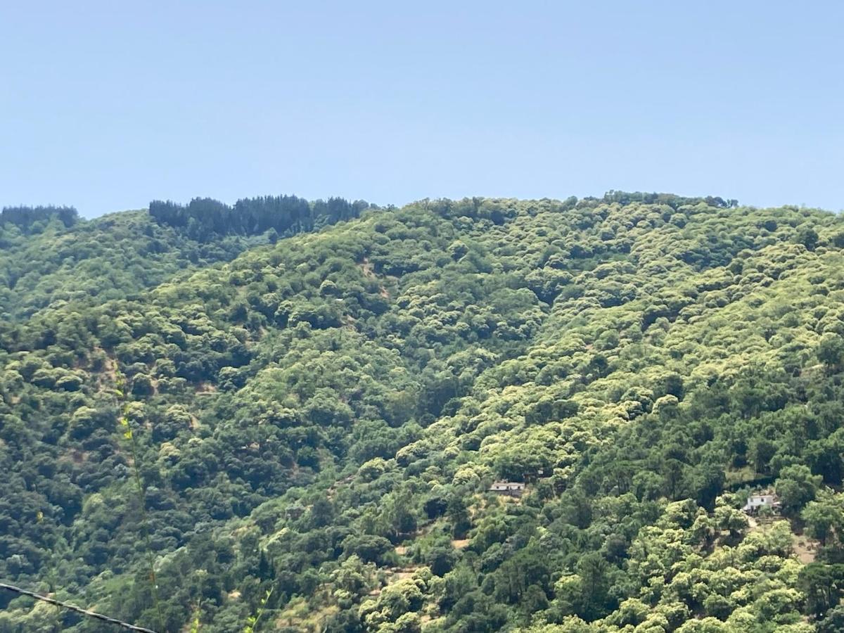 La Marikilla Διαμέρισμα Jubrique Εξωτερικό φωτογραφία
