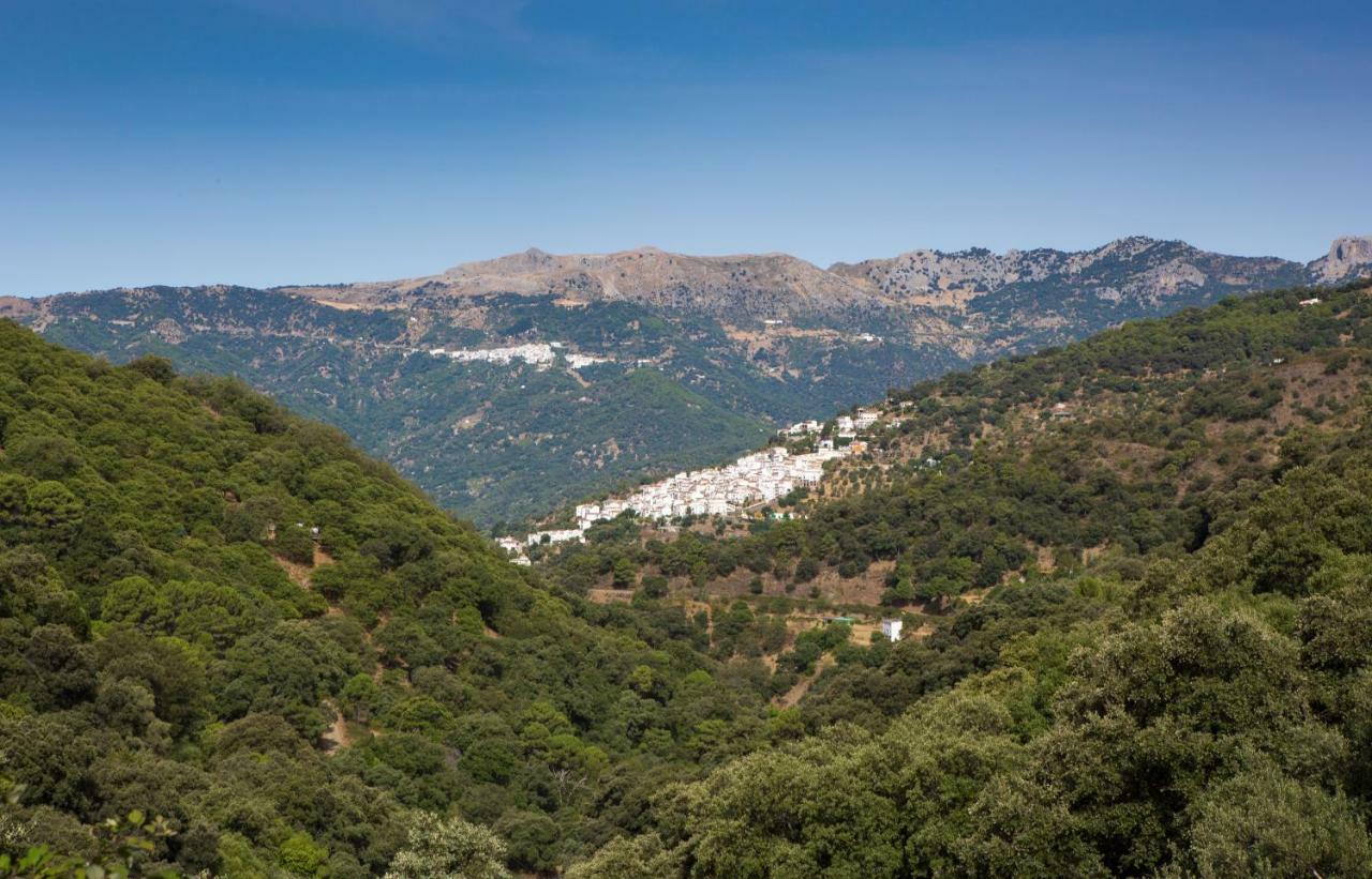 La Marikilla Διαμέρισμα Jubrique Εξωτερικό φωτογραφία